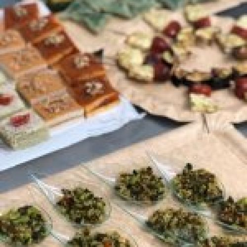 Catering vegano en Madrid