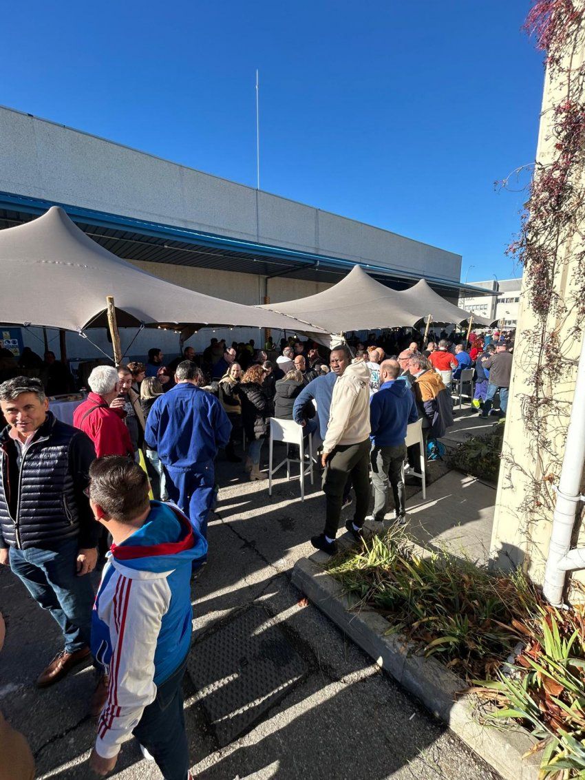 sombrillas e iluminación