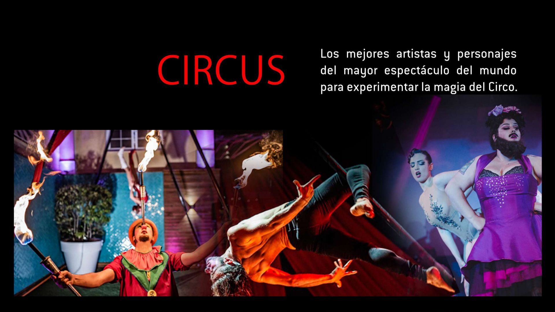 CIRCO CIRCO